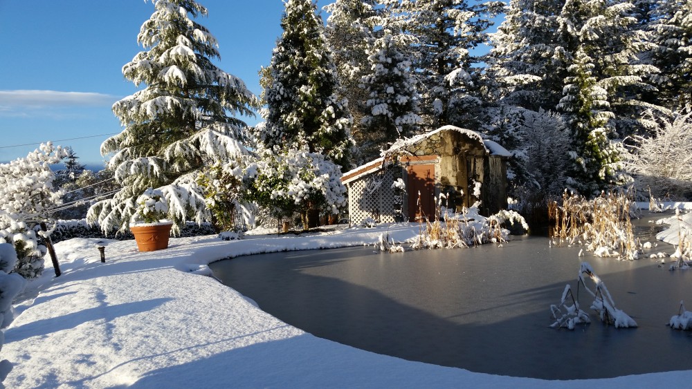 Villa Eyrie Resort Address Villa Eyrie Resort Address