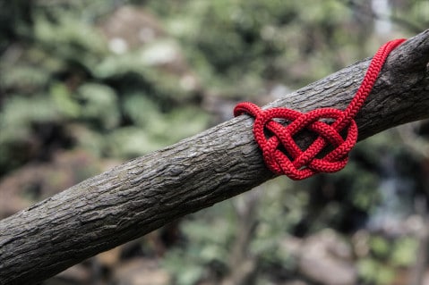 Love, romance, valentine's day