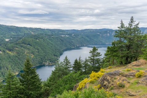 HIking view of Saanich Inlet, Wilderness, Wildlife, outdoor adventure