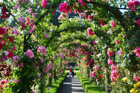 Butchart Gardens, activity, outdoor, victoria