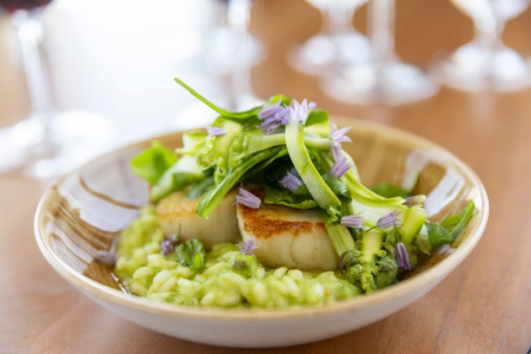 dinner, seafood, scallops, risotto