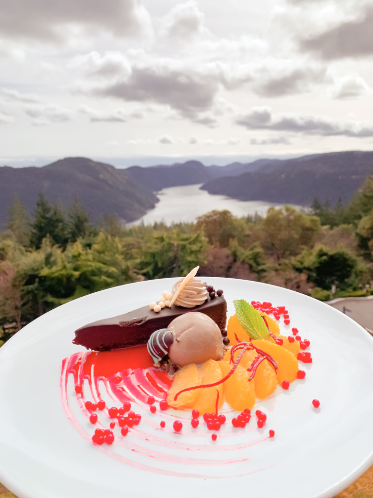 ver-chocolate-cake-filter-IMG_7608-2021