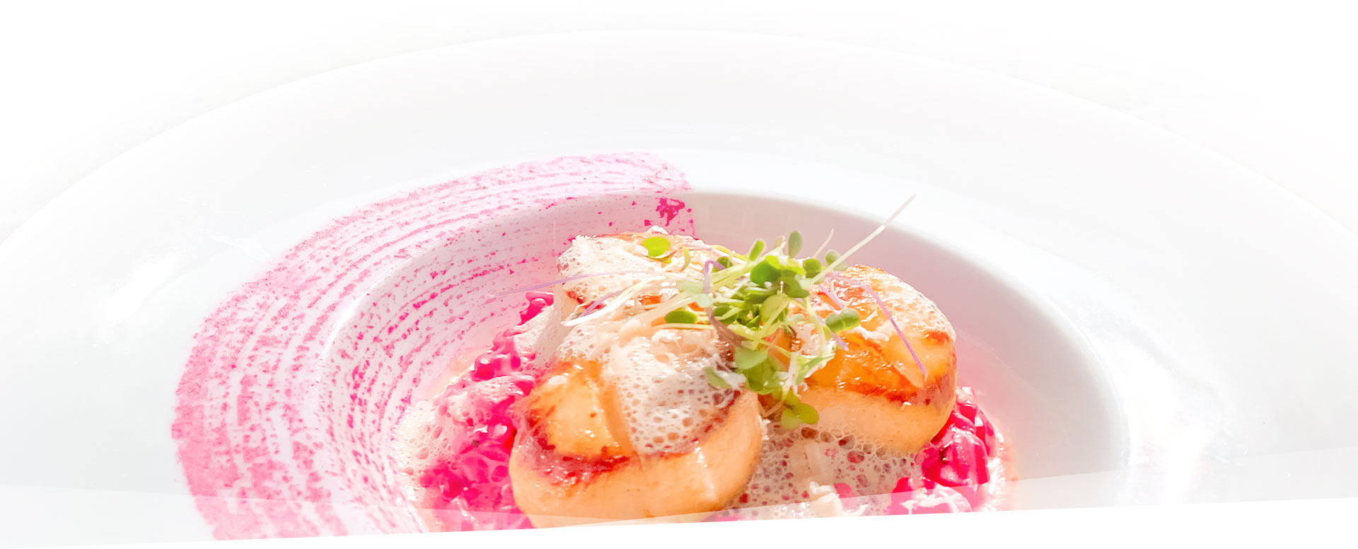 Plate of seared scallops beet risotto, horseradish sauce, watercress.