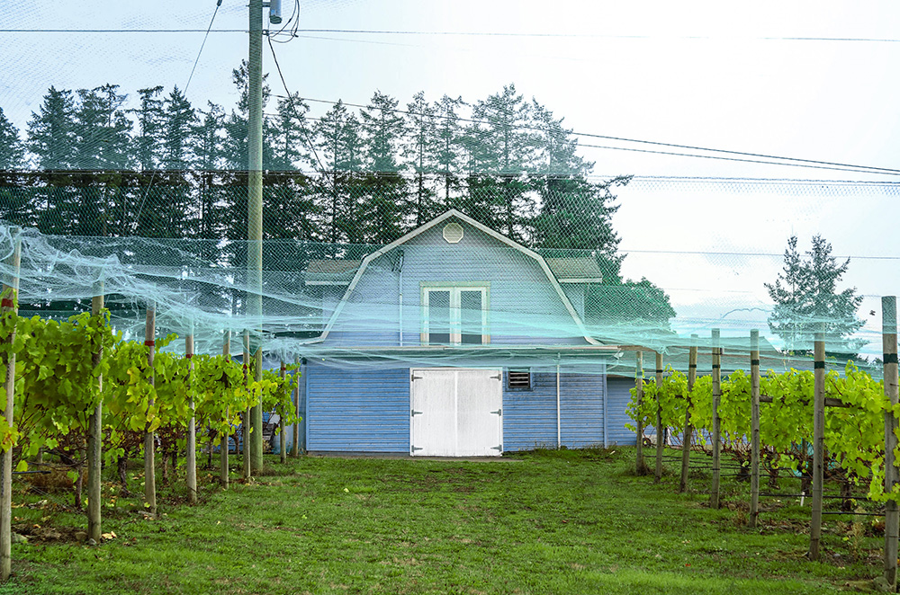 Alderlea Vineyards Winery Experience Villa Eyrie Resort