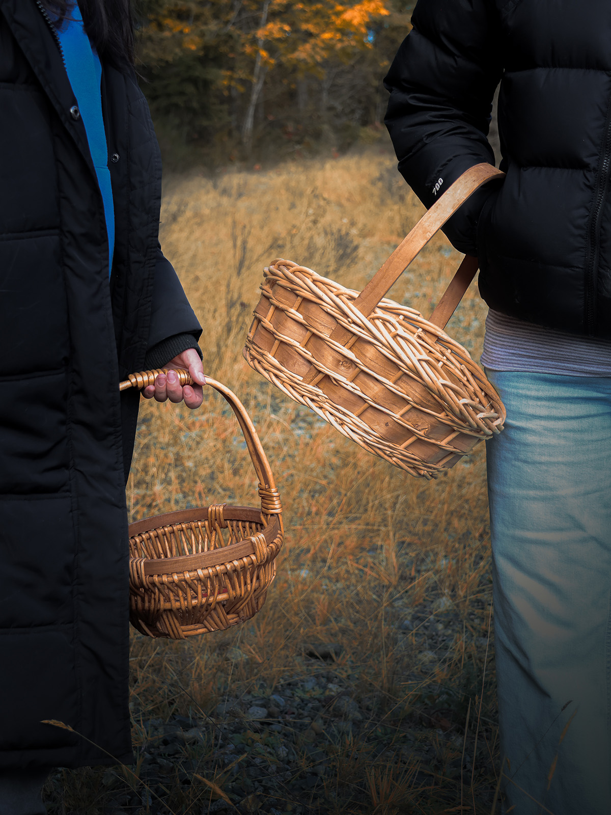 Mushroom Foraging Experience