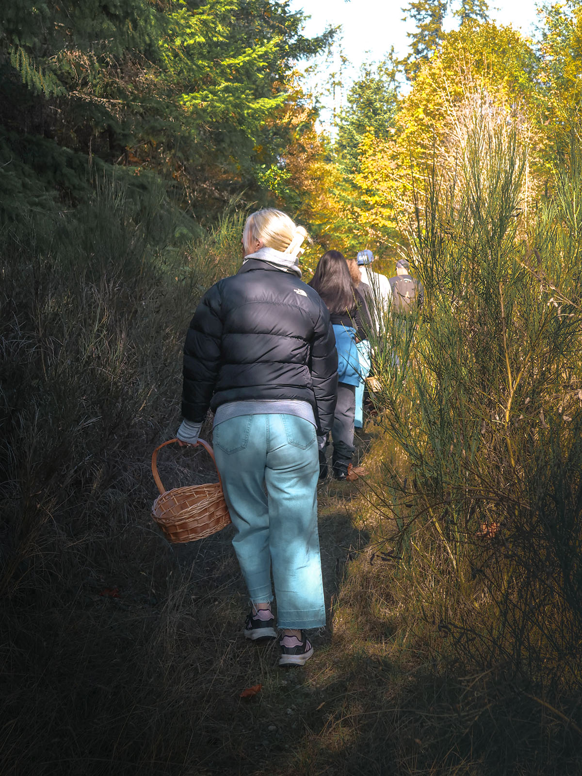 Mushroom Foraging Experience