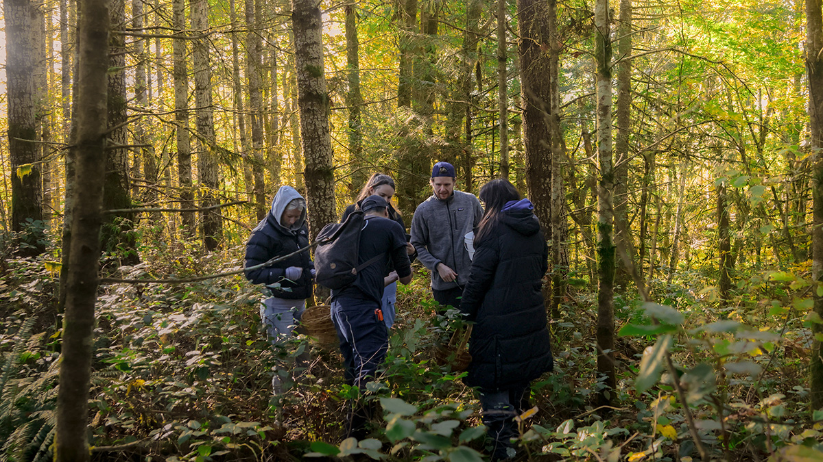 Mushroom Foraging Experience Villa Eyrie Resort