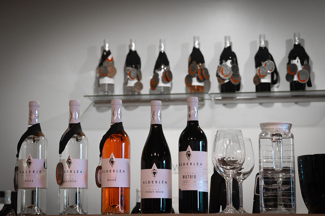 Winery Experience at Alderlea Vineyards