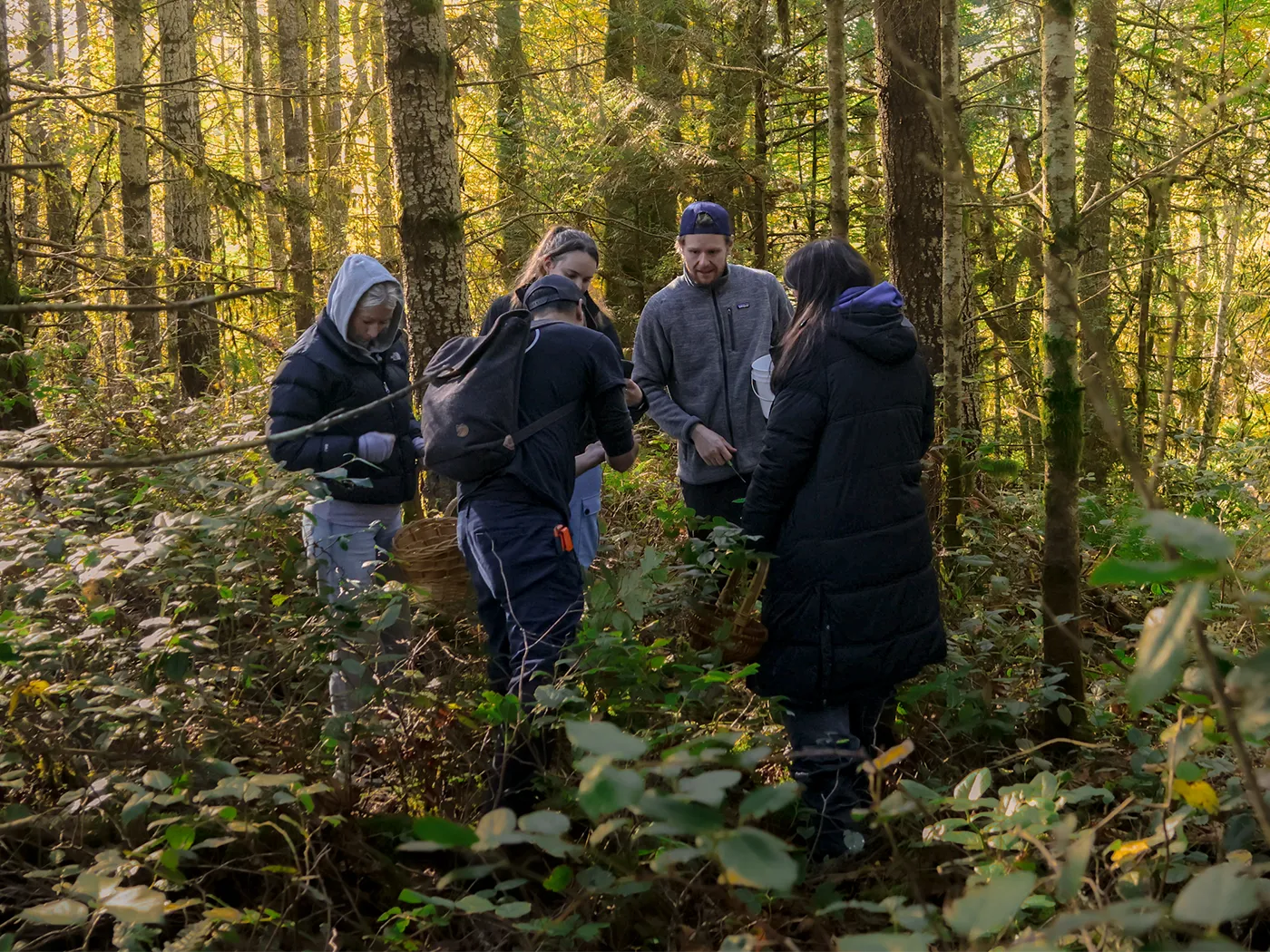 Group in forest foraging mushrooms.