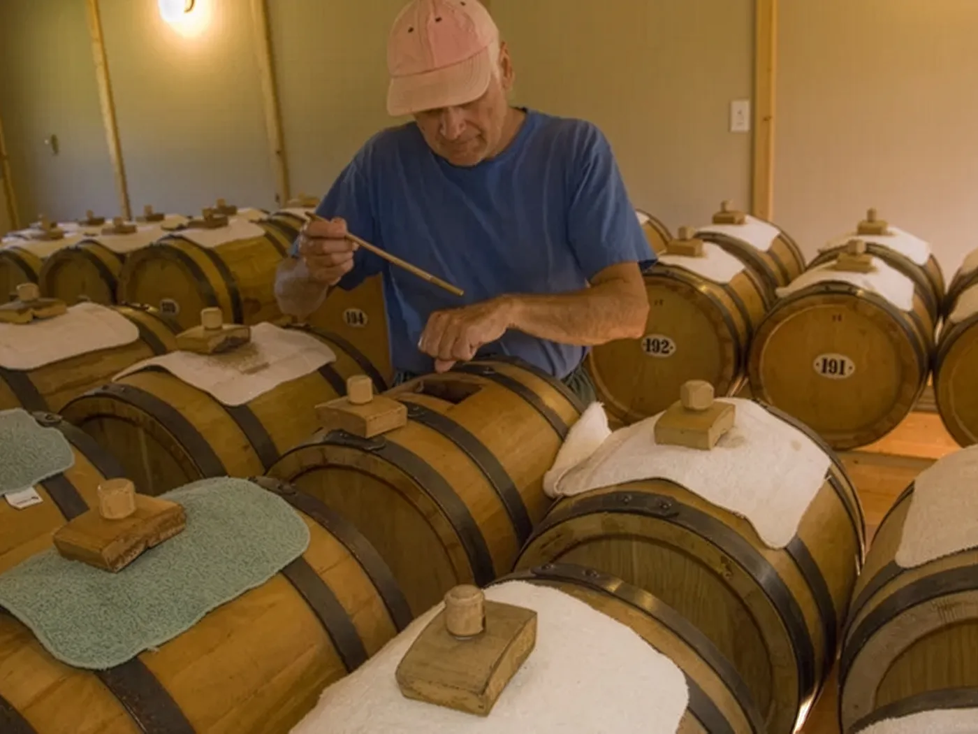 Man testing vinegar on his forearm in cellar of Venturi Schulze Vineyards.
