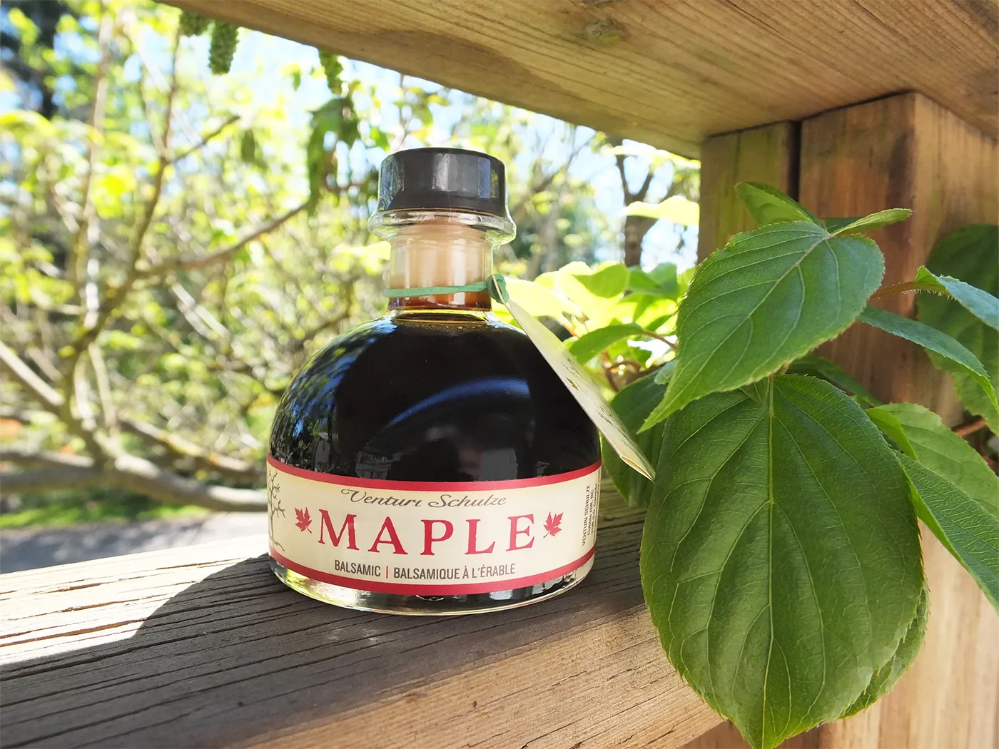 Venturi Schulze Maple vinegar