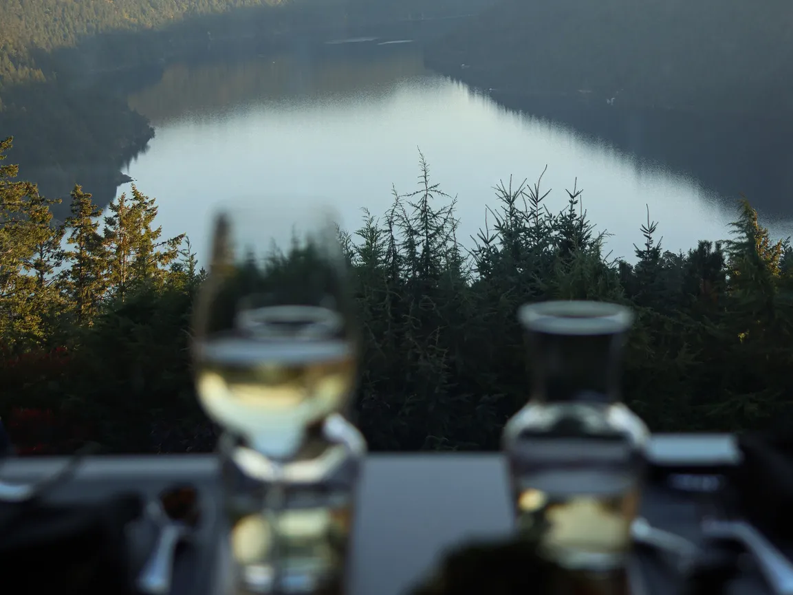 View of Finlayson Arm from Villa Eyrie Resort Alpina restaurant on Vancouver Island.